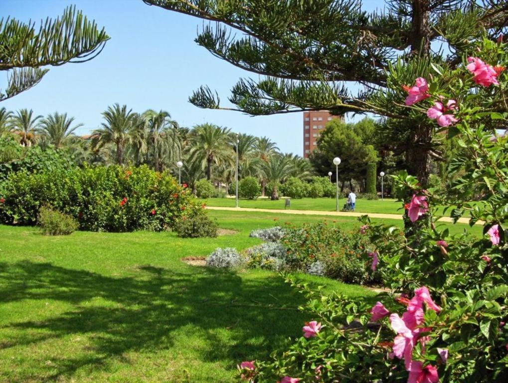 10-46-1- Комната В Квартире Для 4 Человек В Аликанте Alicante