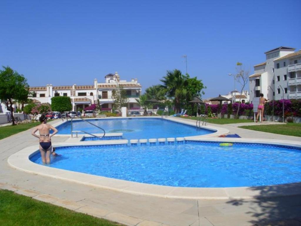 Mariposas Alicante