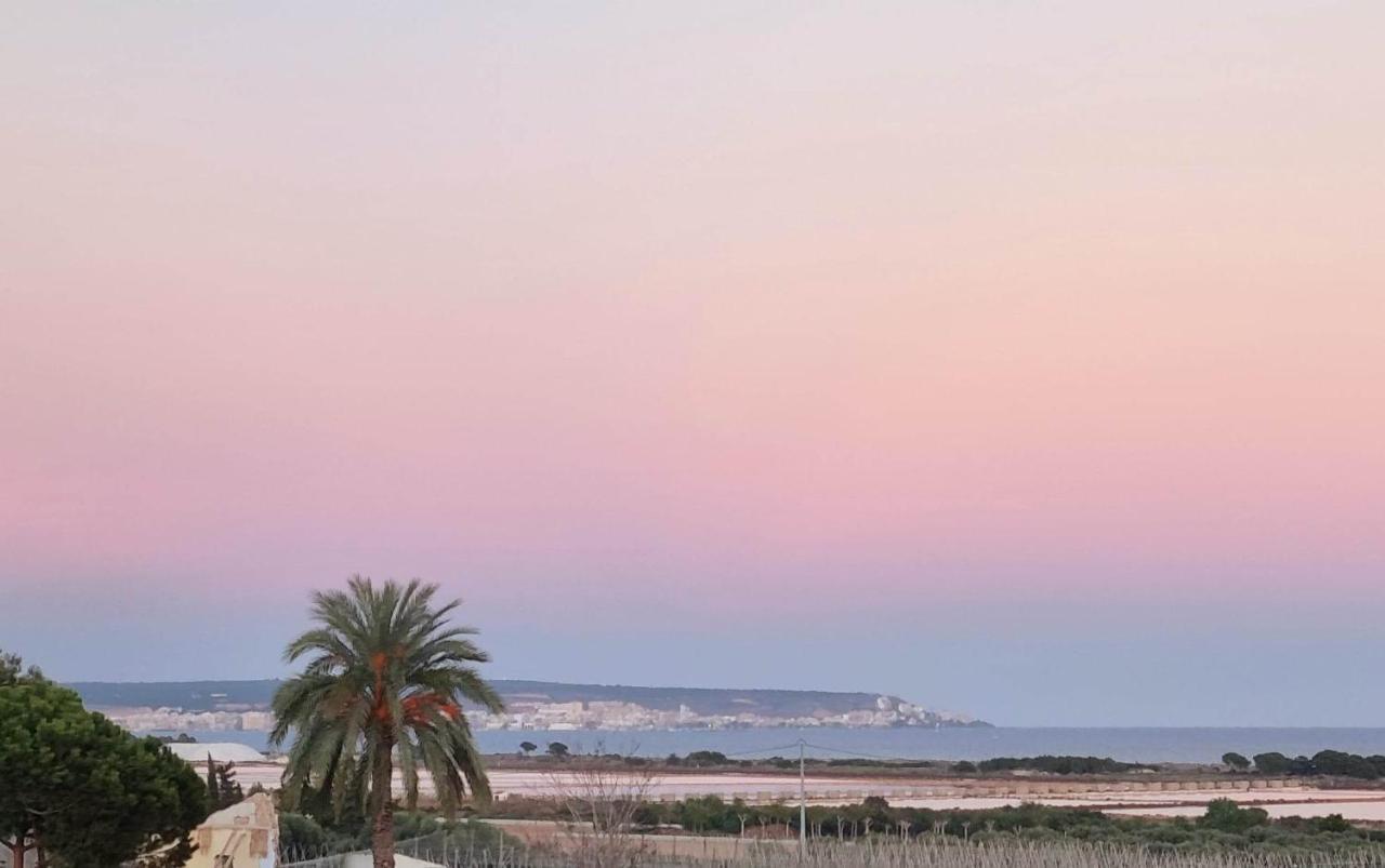 Apartamento Odyssey La Marina Alicante