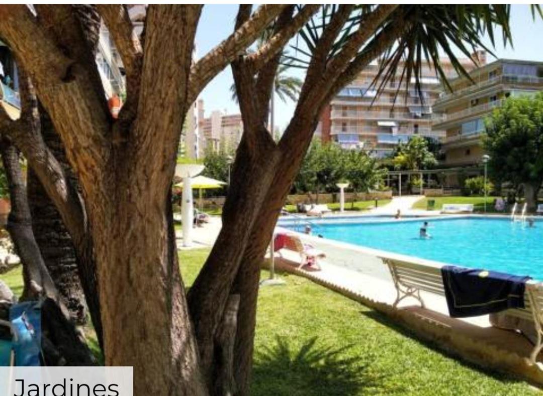 Entero En La Playa San Juan Benacantil Homestay Alicante