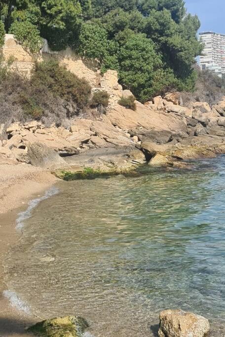 Apartamento Loft Con Acceso A La Playa Alicante