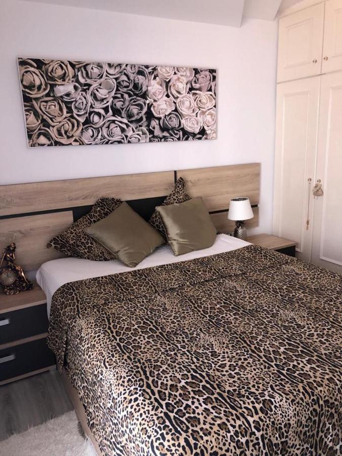 Apartamento Gran Partamiento En