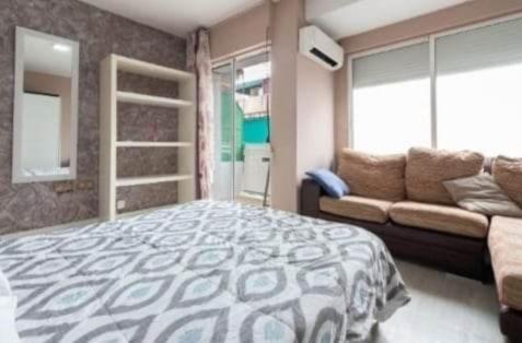 Homestay 38 - Habitacion En Piso Alicante