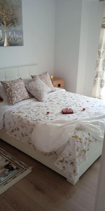 Casa Vina Apartment Alicante