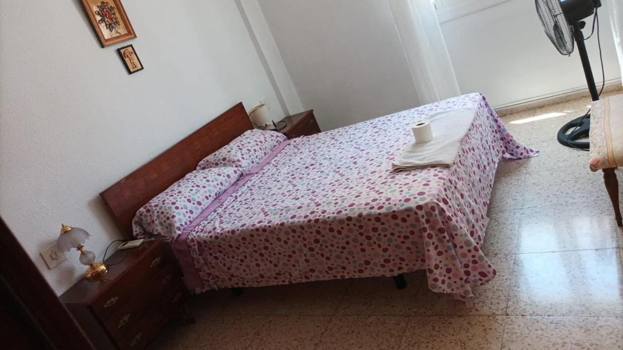 Apartment Alquiler 02 Alicante