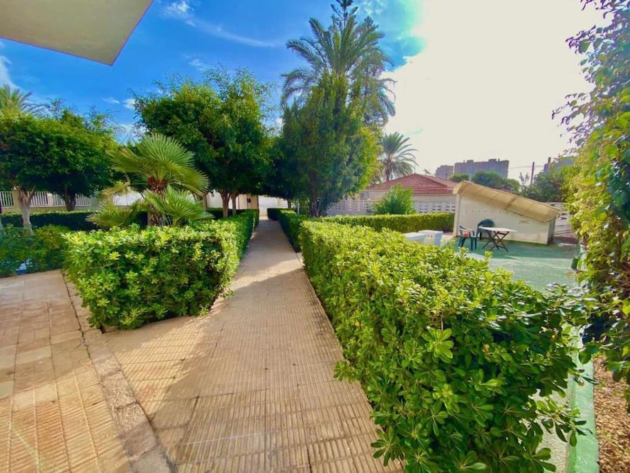 Apto Reformado 2-4 Pax, Wifi, Piscina Y Parking Junto A La Playa Alicante