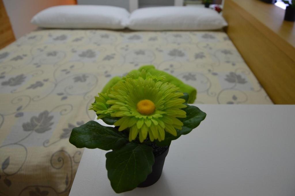 Apartment Mediterraneo Munoz