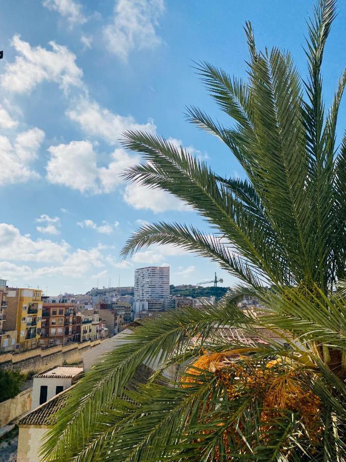 Casas 349h Centre Ground Floor Apartment Alicante