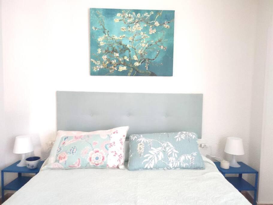 Charming & Spacious In Historic Centre & Short Walk To Apartamento Alicante