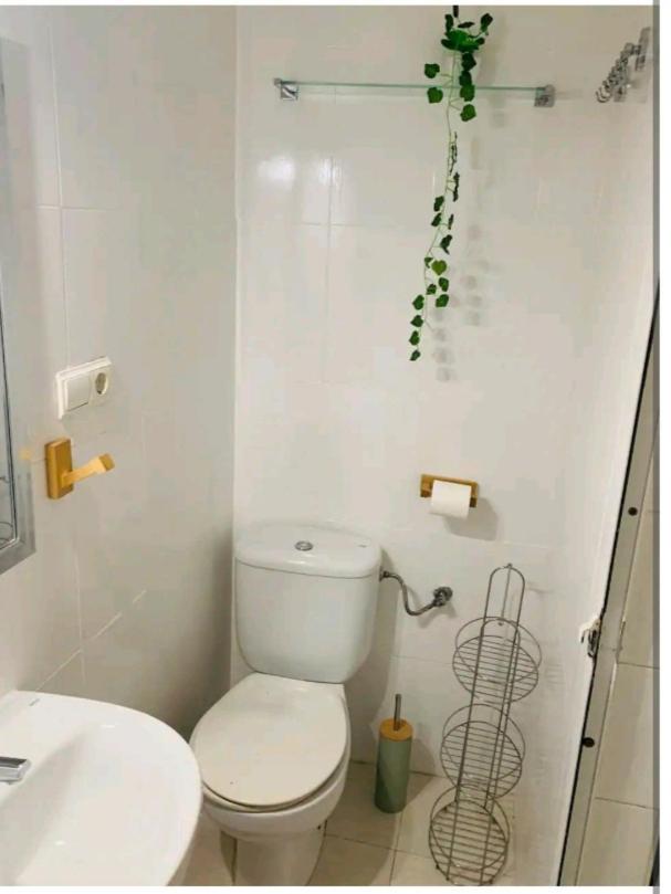 Homestay San Fernando Alicante