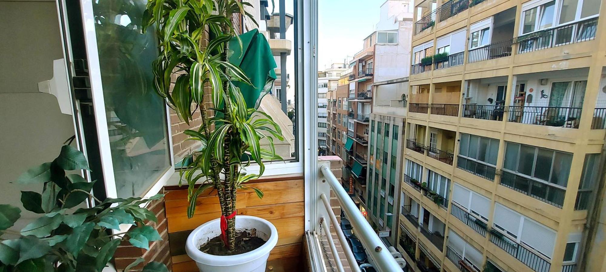 Modern In Alacant 60m² Wheelchair Accessible Apartamento