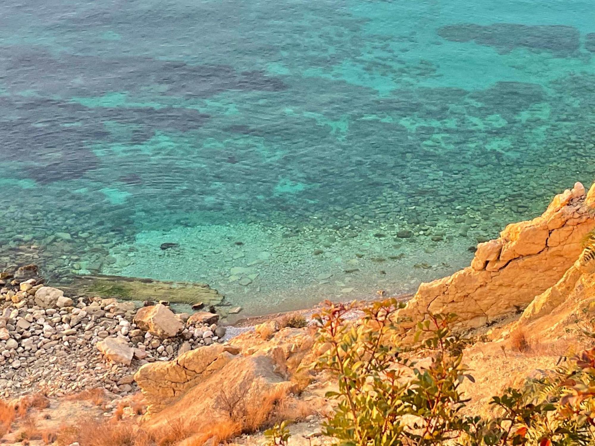 Maravilloso Mediterráneo Alicante
