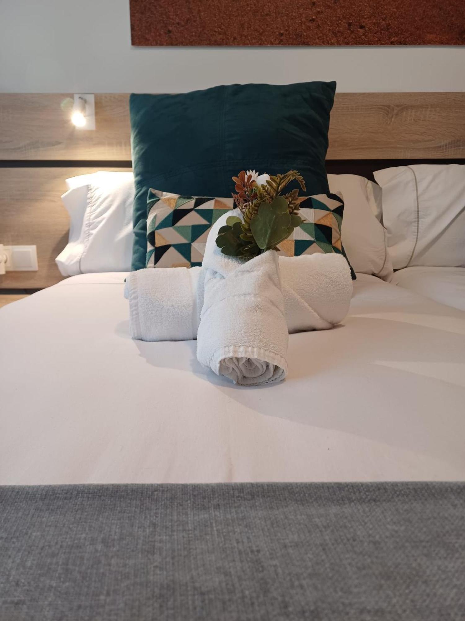 Guest house Ventura Premium