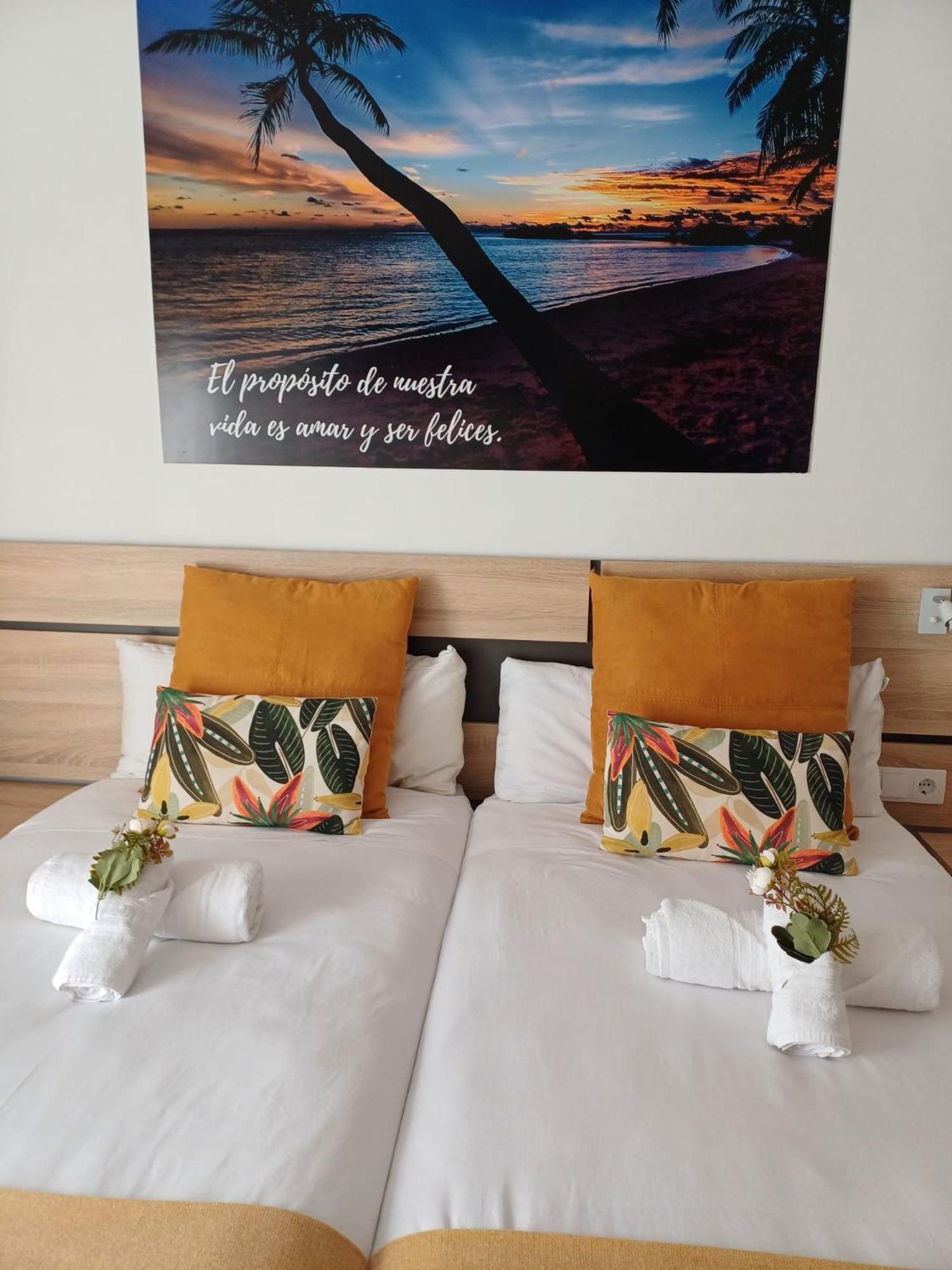 Ventura Premium Alicante