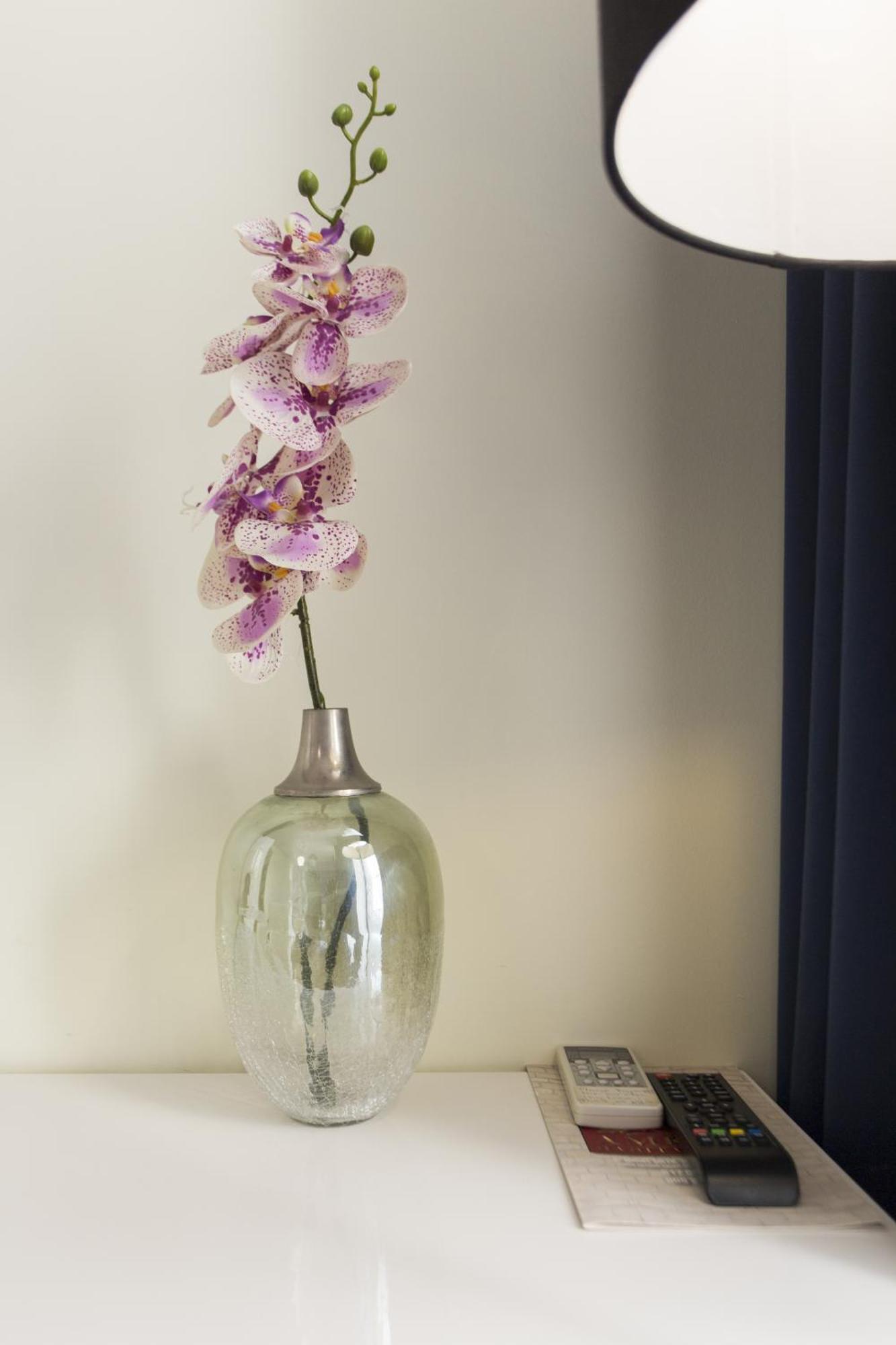Amelia Guest house 3*