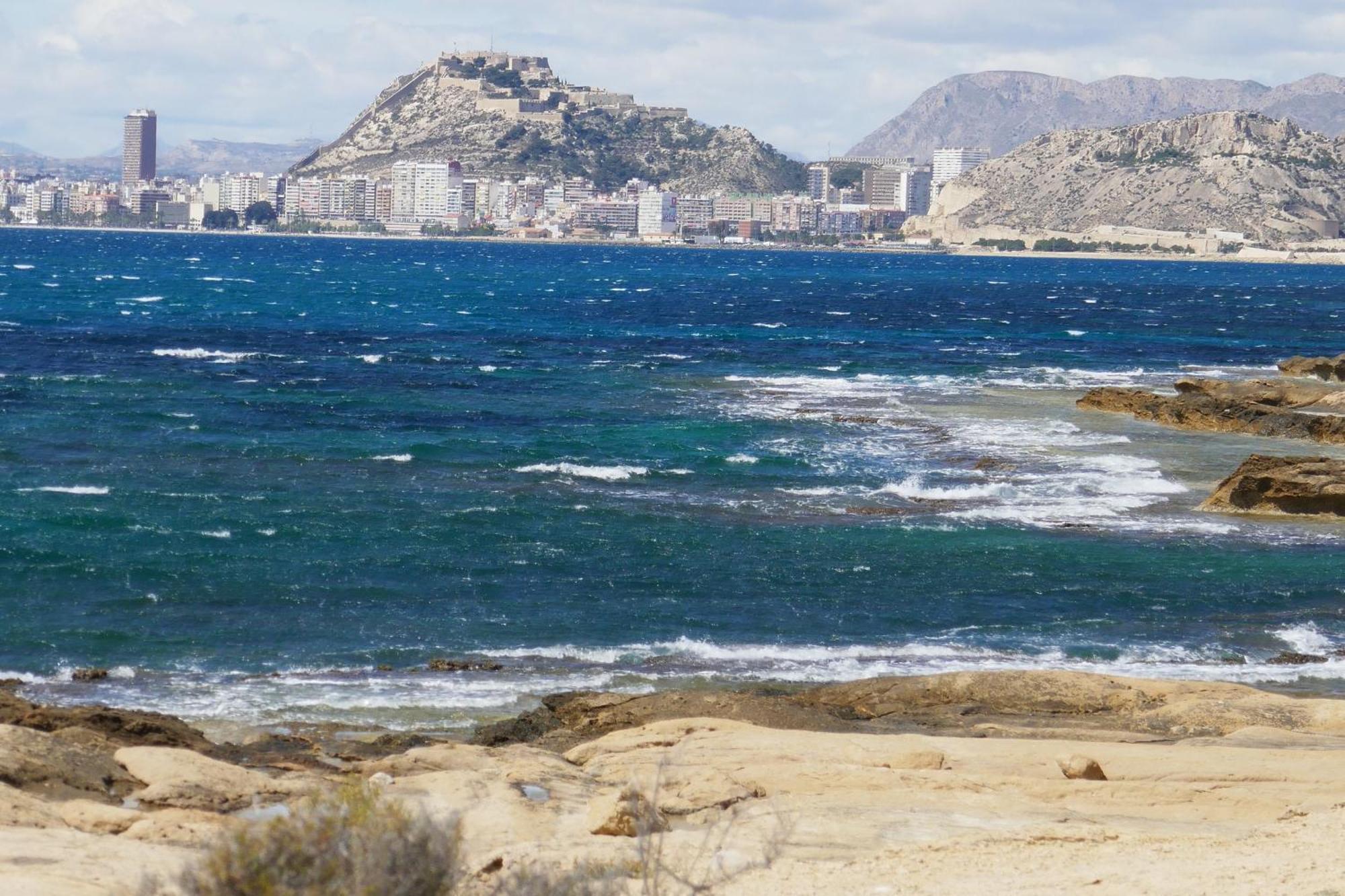 Céntrico Playa De San Juan Alicante