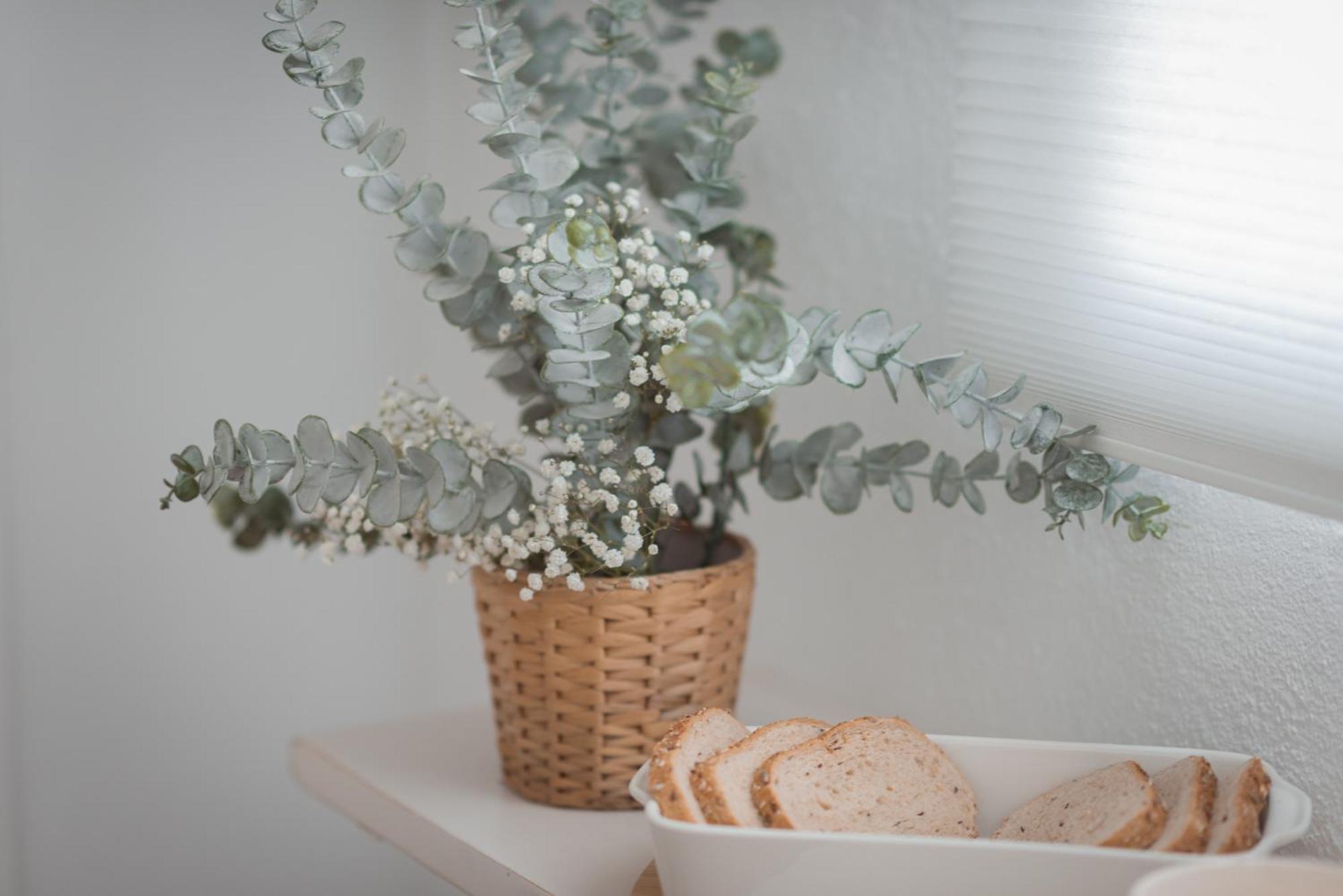 Holiday home La Buena Sombra Alicante