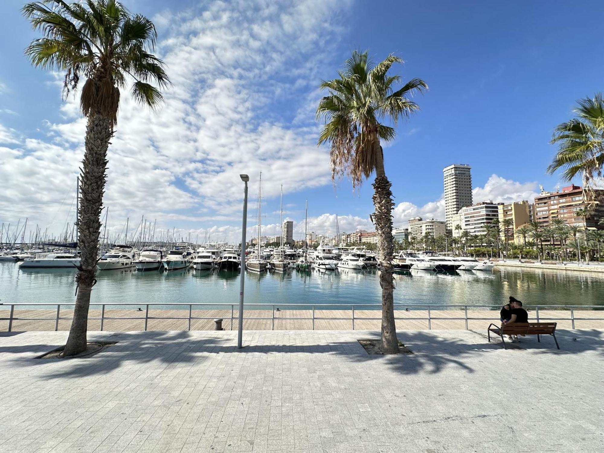 Apartamento Donoso Cortes - *