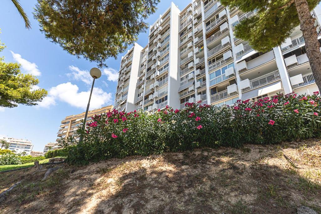 Lovely Flat On The - Awesome View Apartment