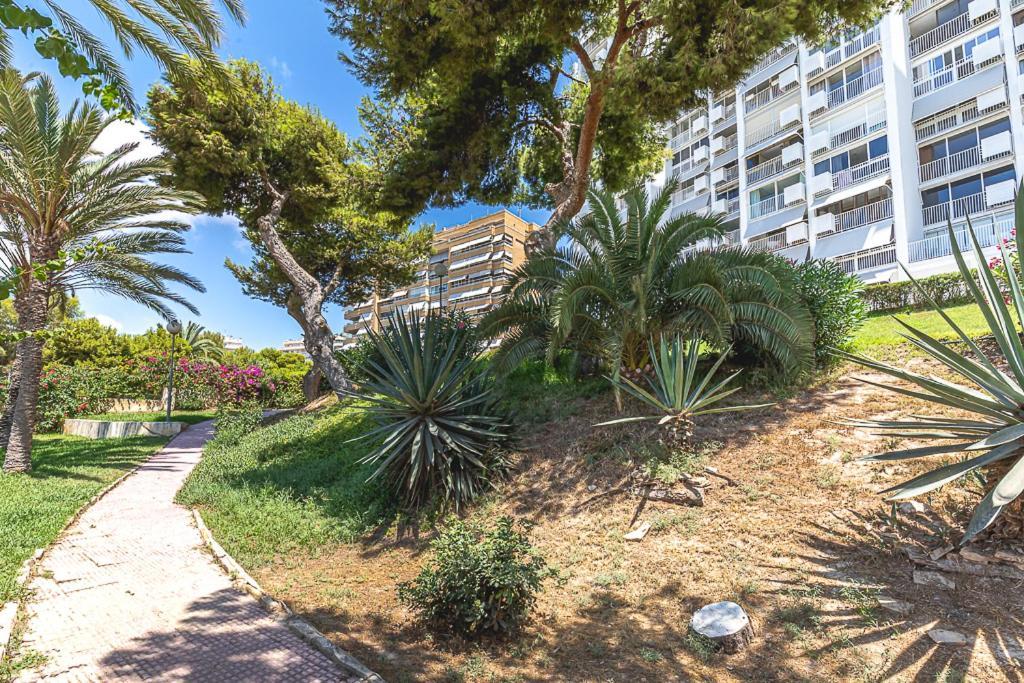 Lovely Flat On The - Awesome View Apartment Alicante