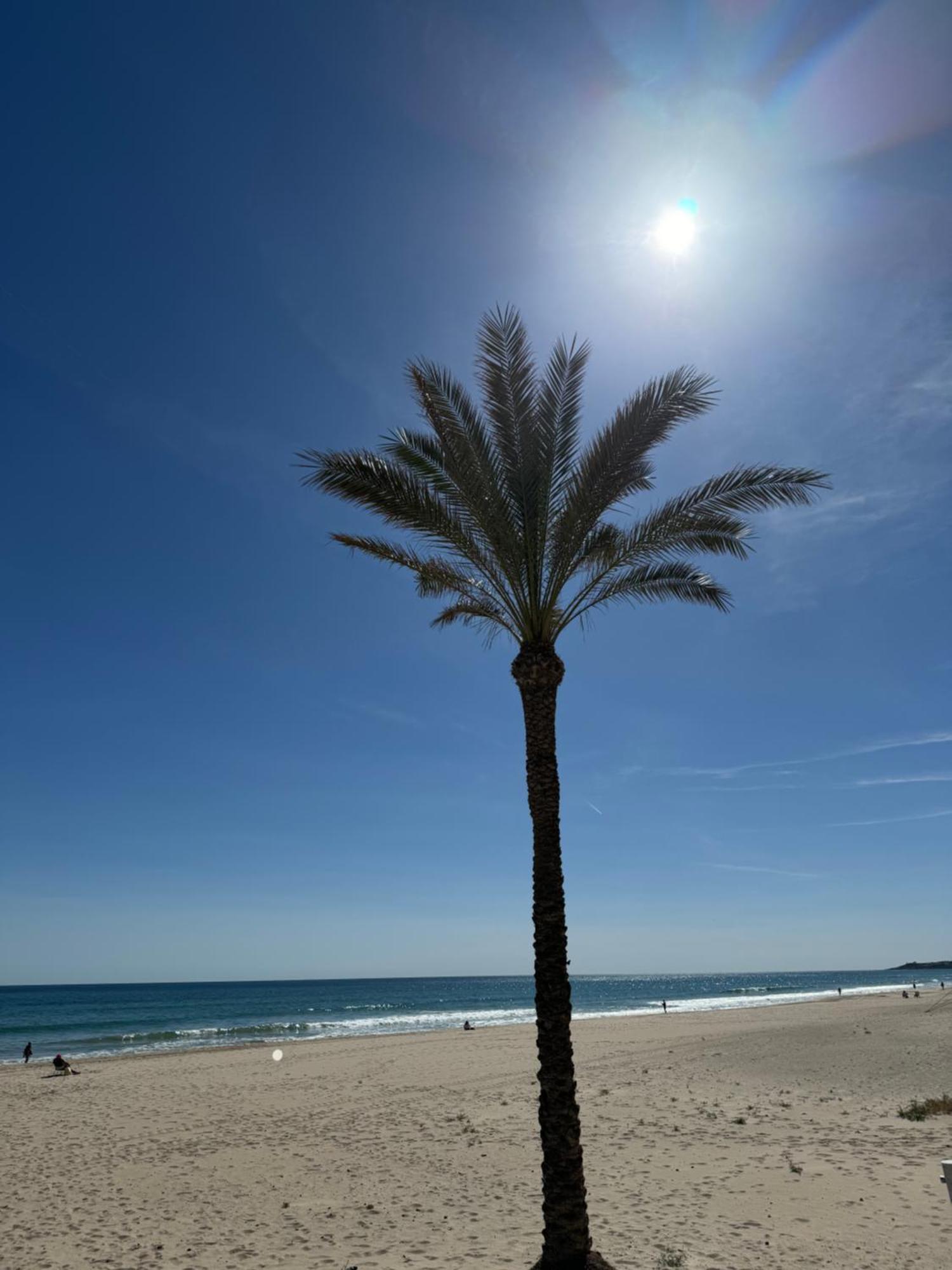 Vistas Al Mar, Piscina Y Playa