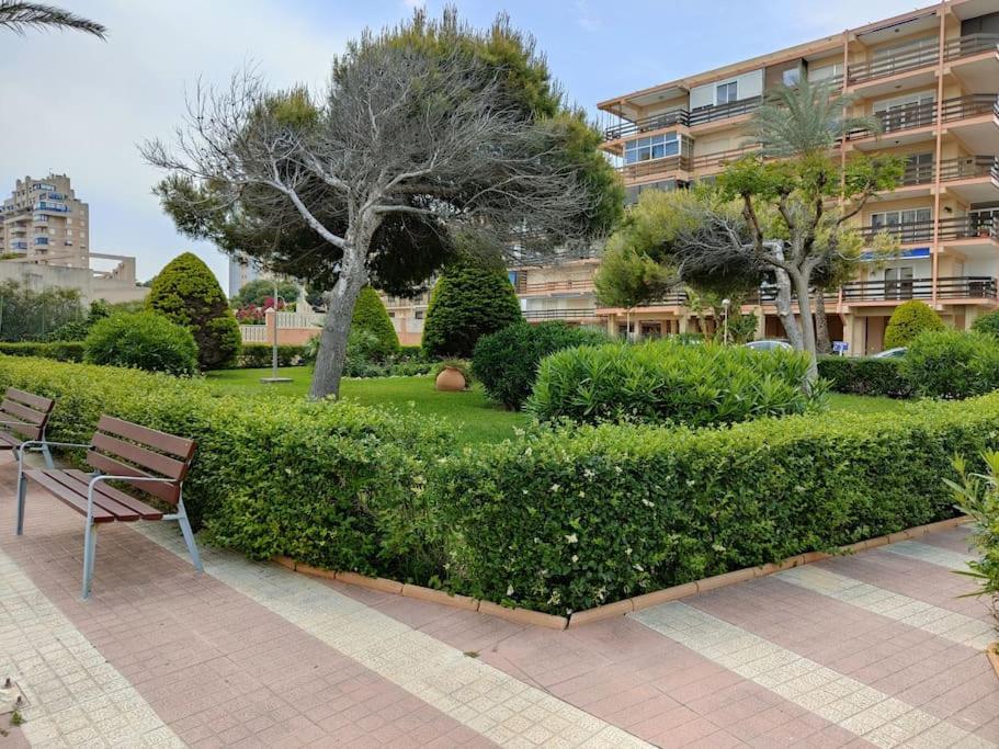 Apartamento 1ª Linea De Playa Mucha Vista