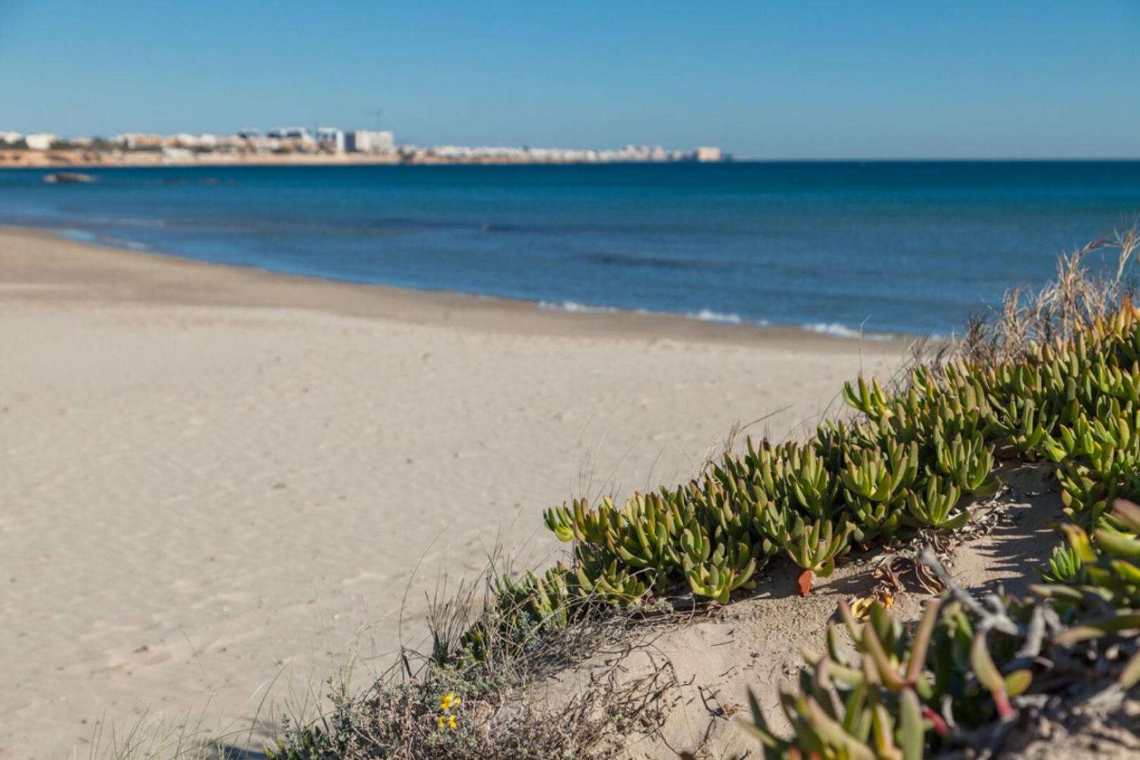 Apartamento Perla Ii Alicante