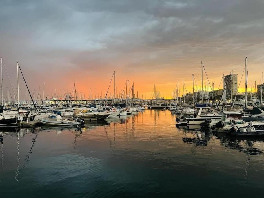 Carpediem Centro Bajo A * Alicante