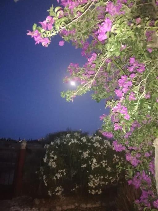 Сasa de vacaciones La Casa De La Oma -la Caseta