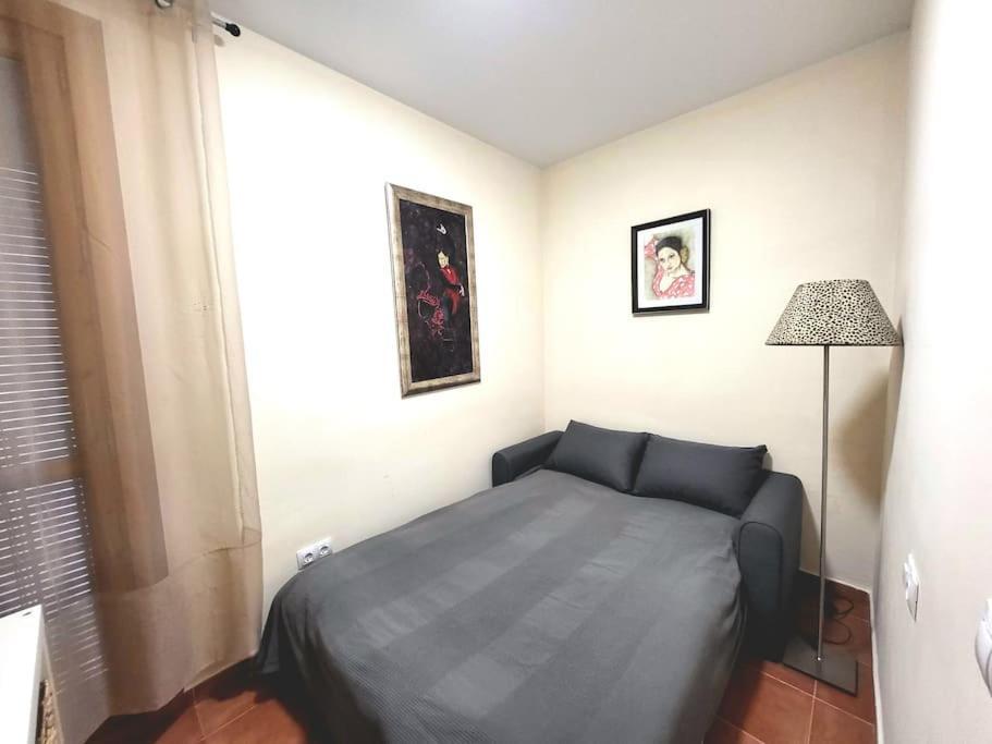 Flamenco, Apartamento Exclusivo De Dos En El Pleno Del Casco Antiguo, Alicante, Playa, Centro Historico, Rambla Alicante