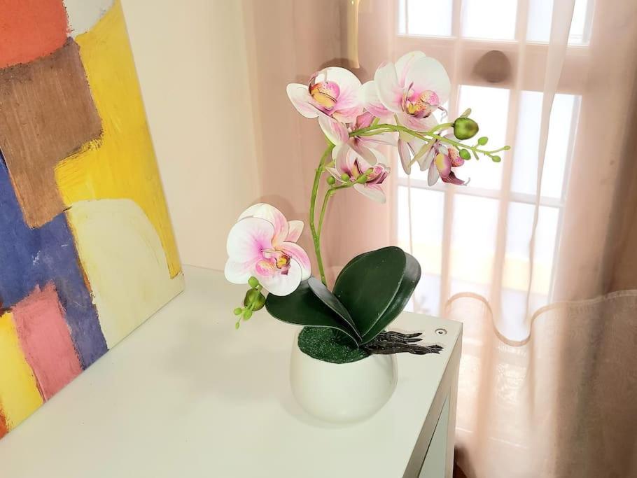 Flamenco, Apartamento Exclusivo De Dos En El Pleno Del Casco Antiguo, Alicante, Playa, Centro Historico, Rambla Apartamento Alicante