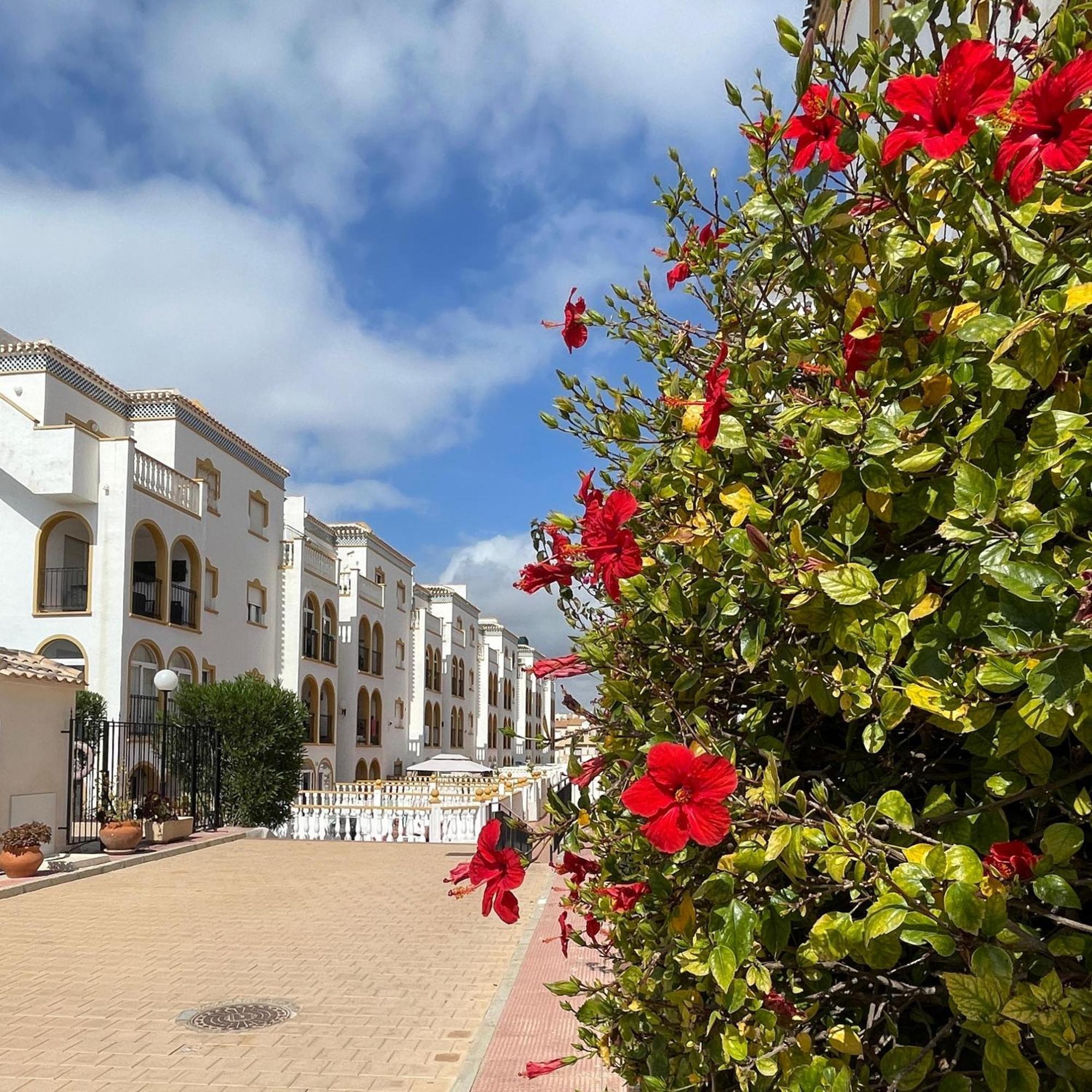 Apartamento Stunning Molino Blanco La Zenia