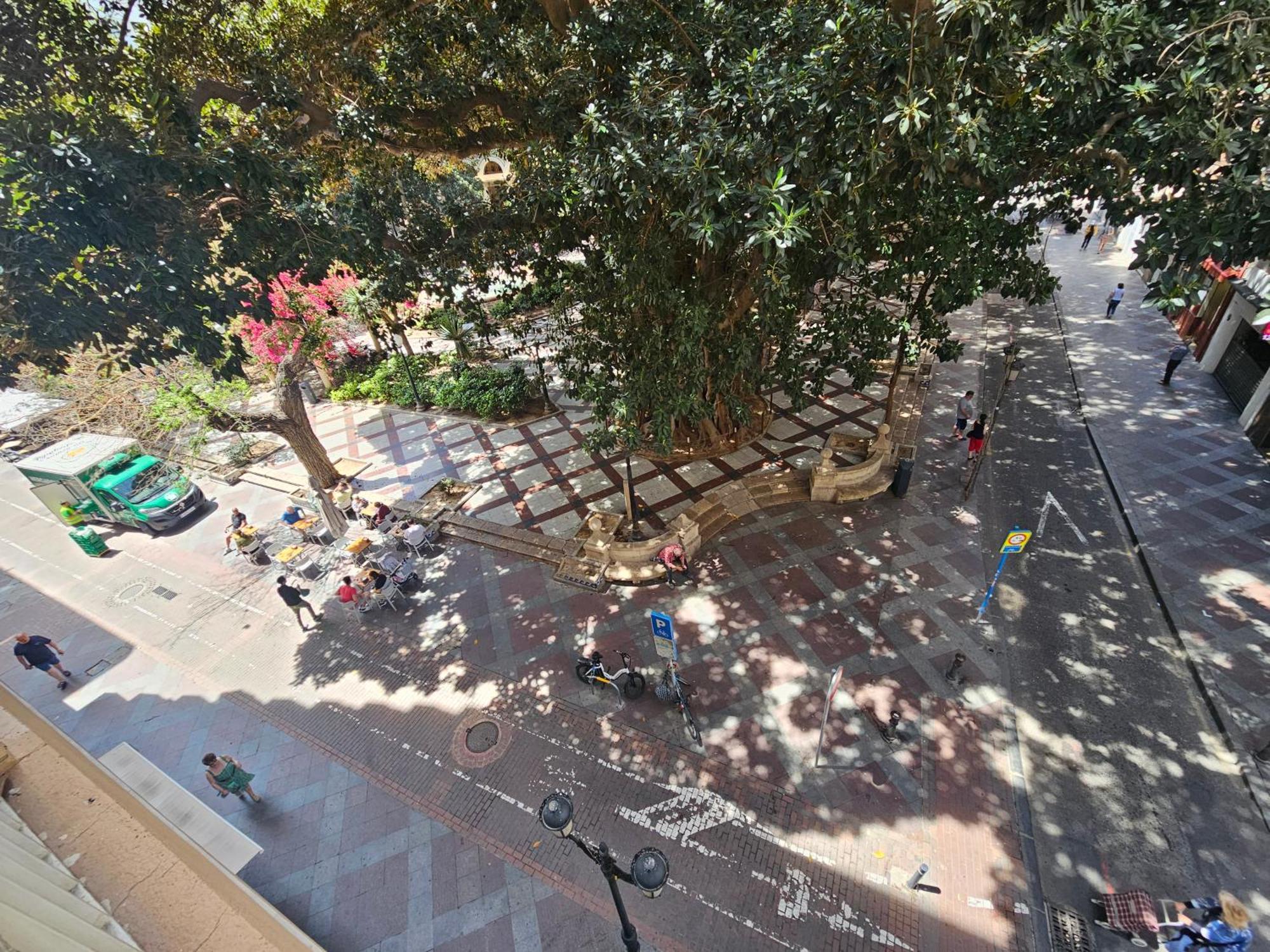 Manero Molla Alicante