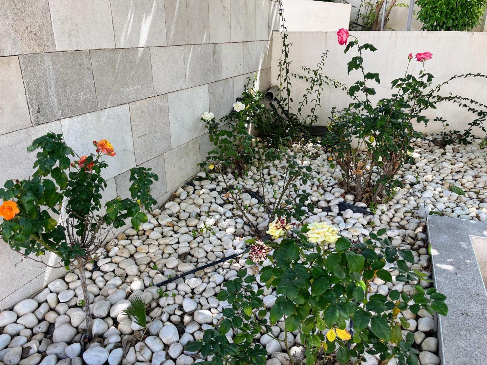Apartamento Casa De Gaia Alicante