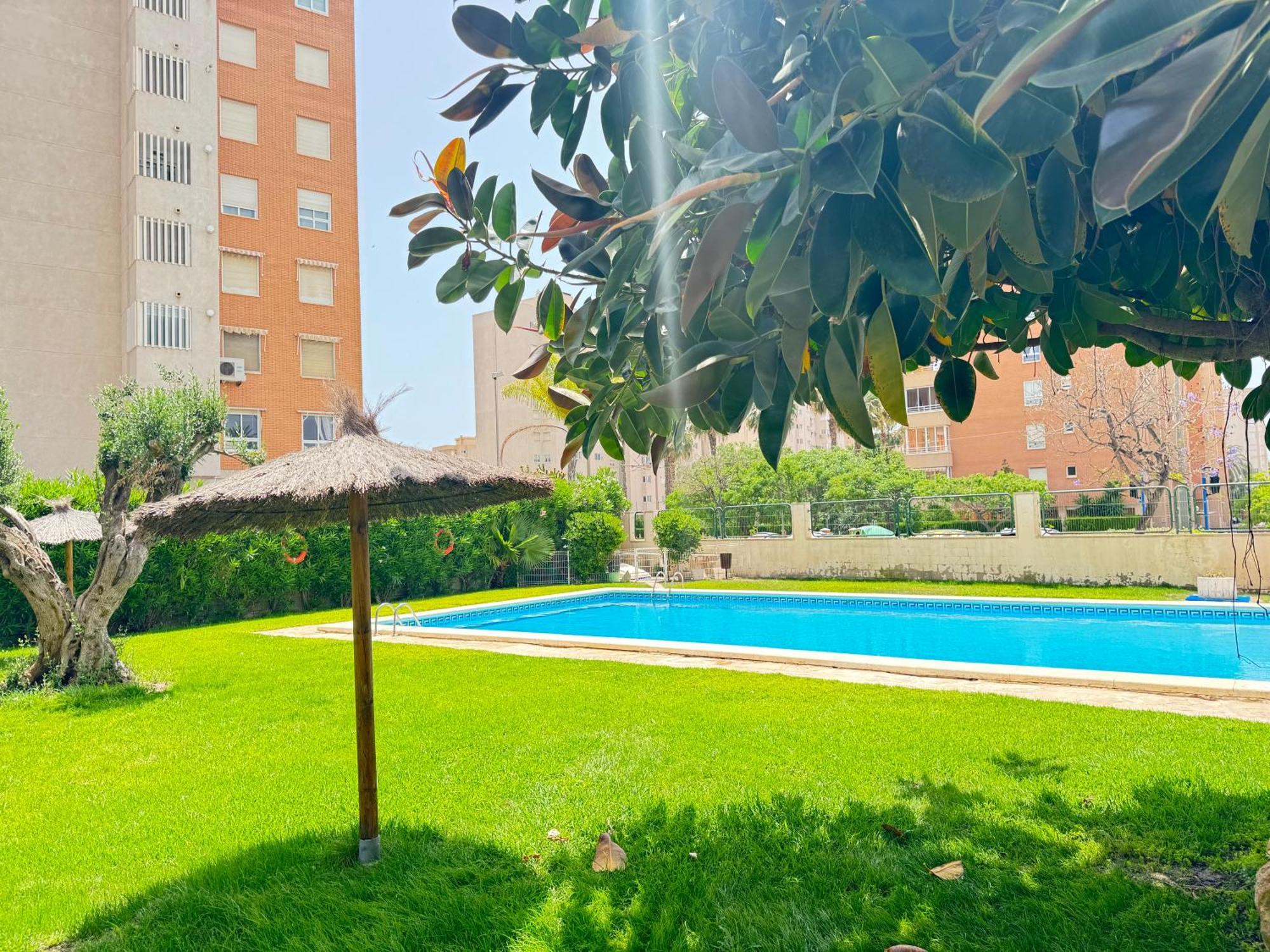 Apartamento Estudio Con Piscina Alicante
