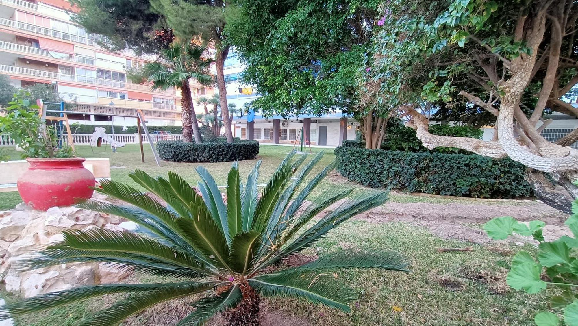 2apa Alicante