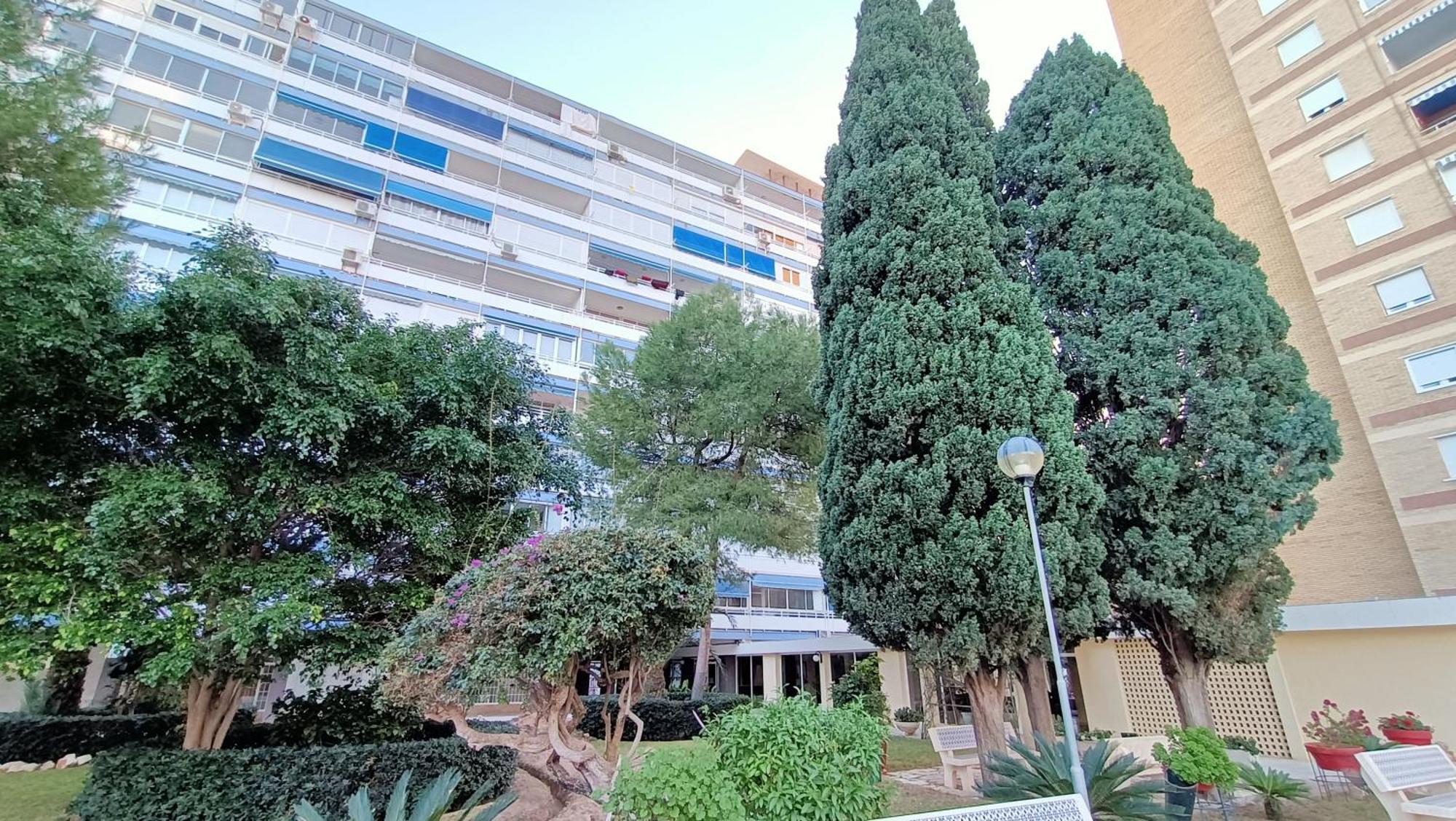 Homestay 2apa Alicante