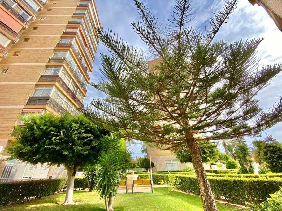 Apto Reformado 2-4 Pax, Wifi, Piscina Y Parking Junto A La Playa * Alicante