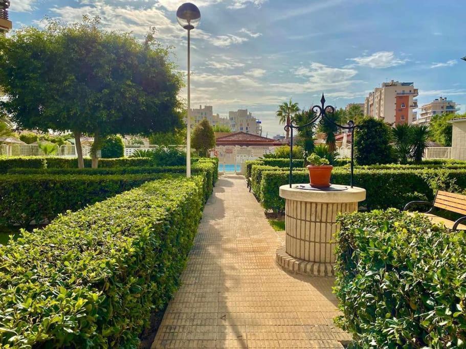 Apto Reformado 2-4 Pax, Wifi, Piscina Y Parking Junto A La Playa Alicante