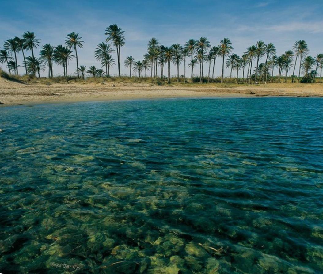 Red Sea Rent La Veleta Torrevieja