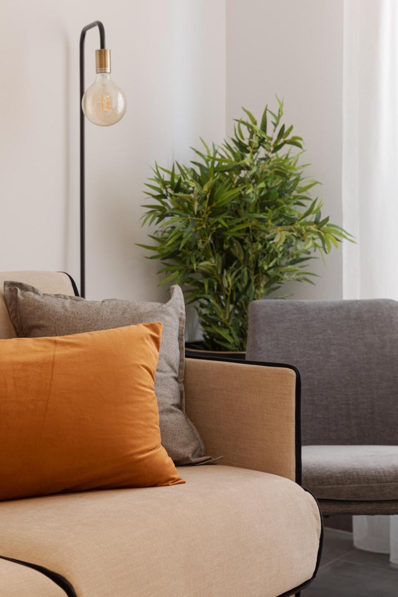 Edificio Botanica Centro By Renthas Apartamento *