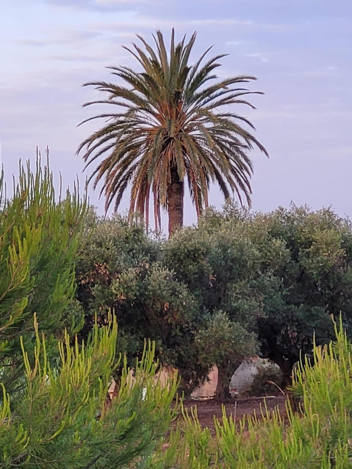 Casitas Del Mar Сasa de vacaciones