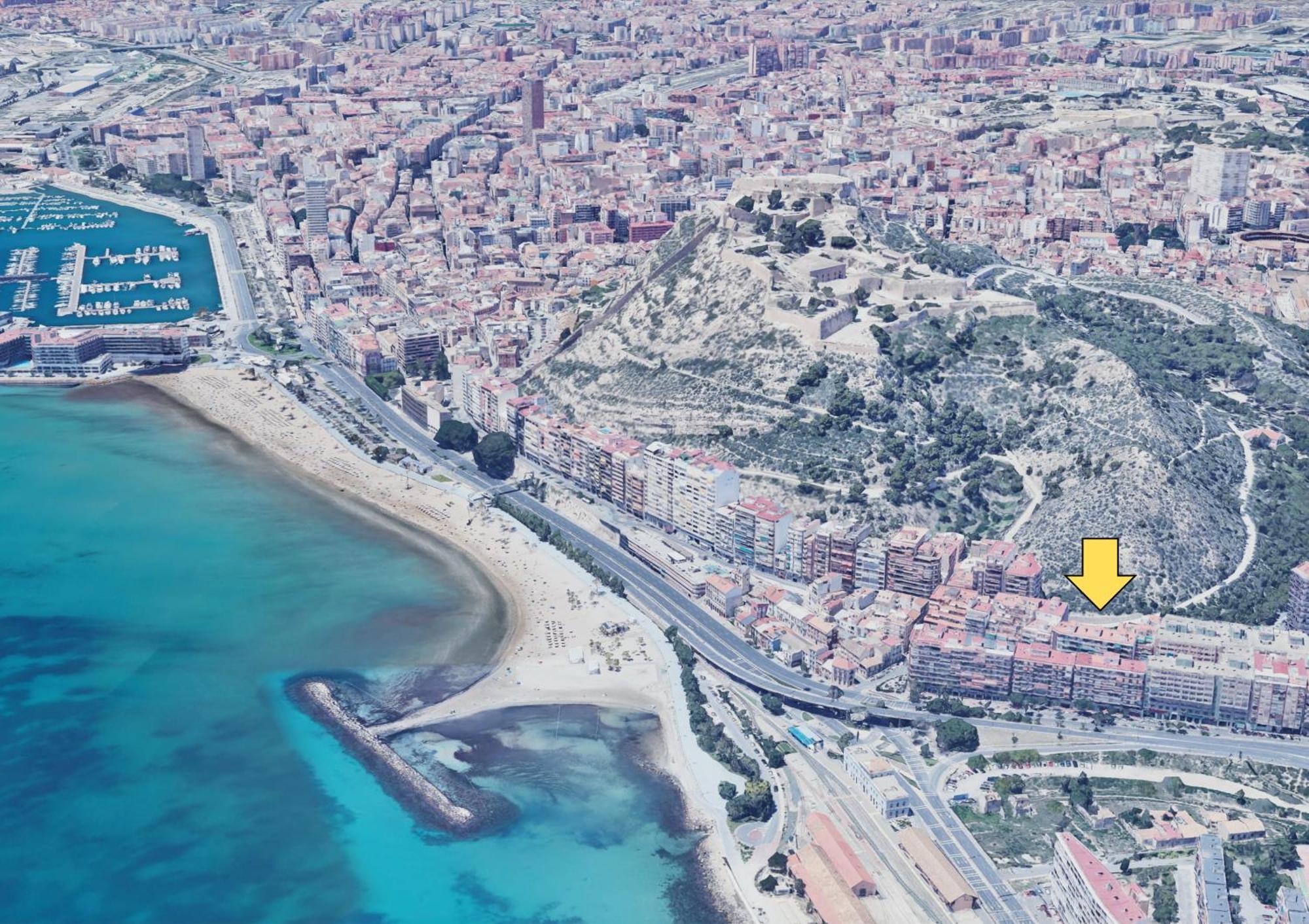 El Olivo Alicante