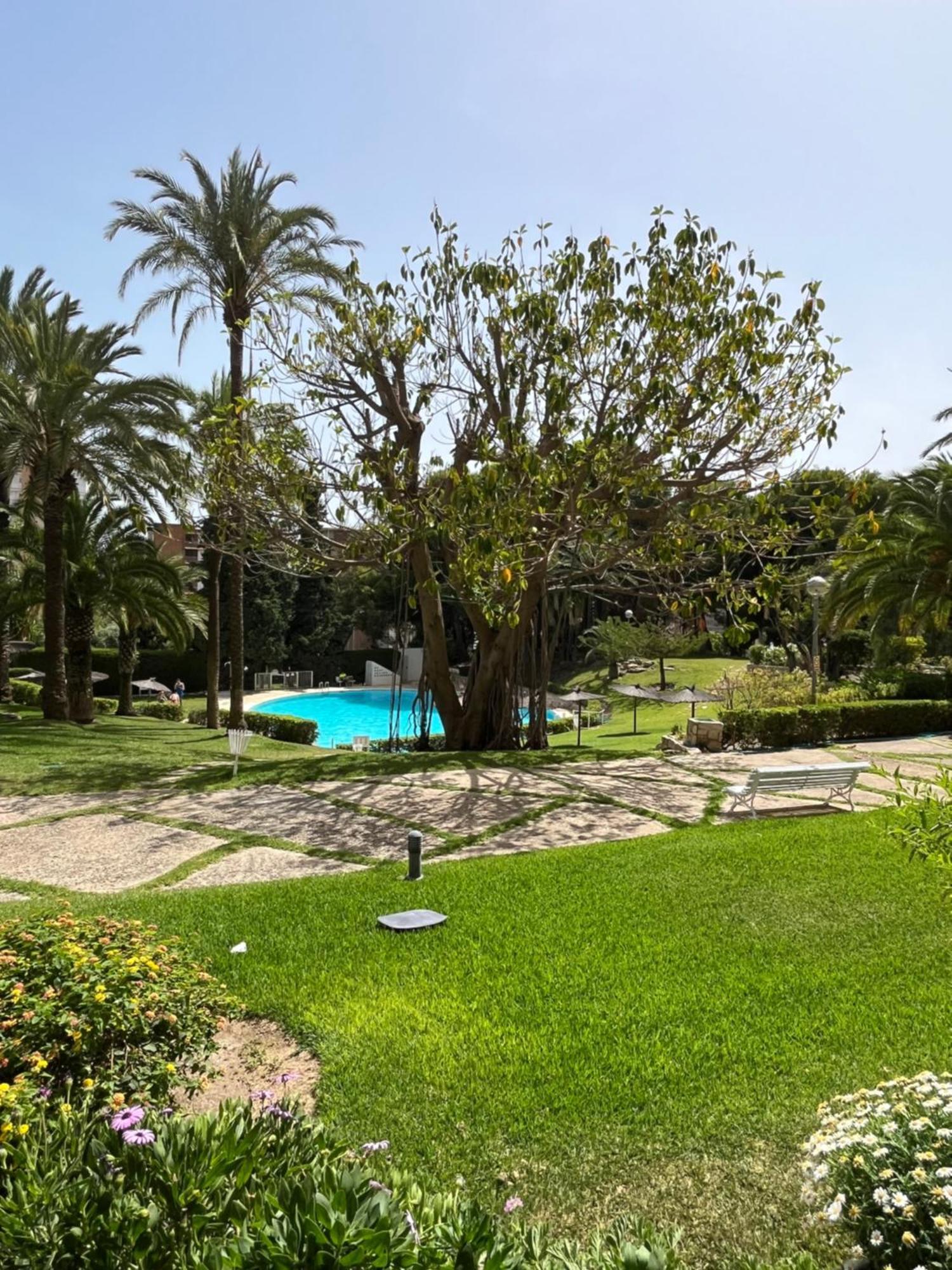Apartamento Parque La Chicharra Near And Alicante