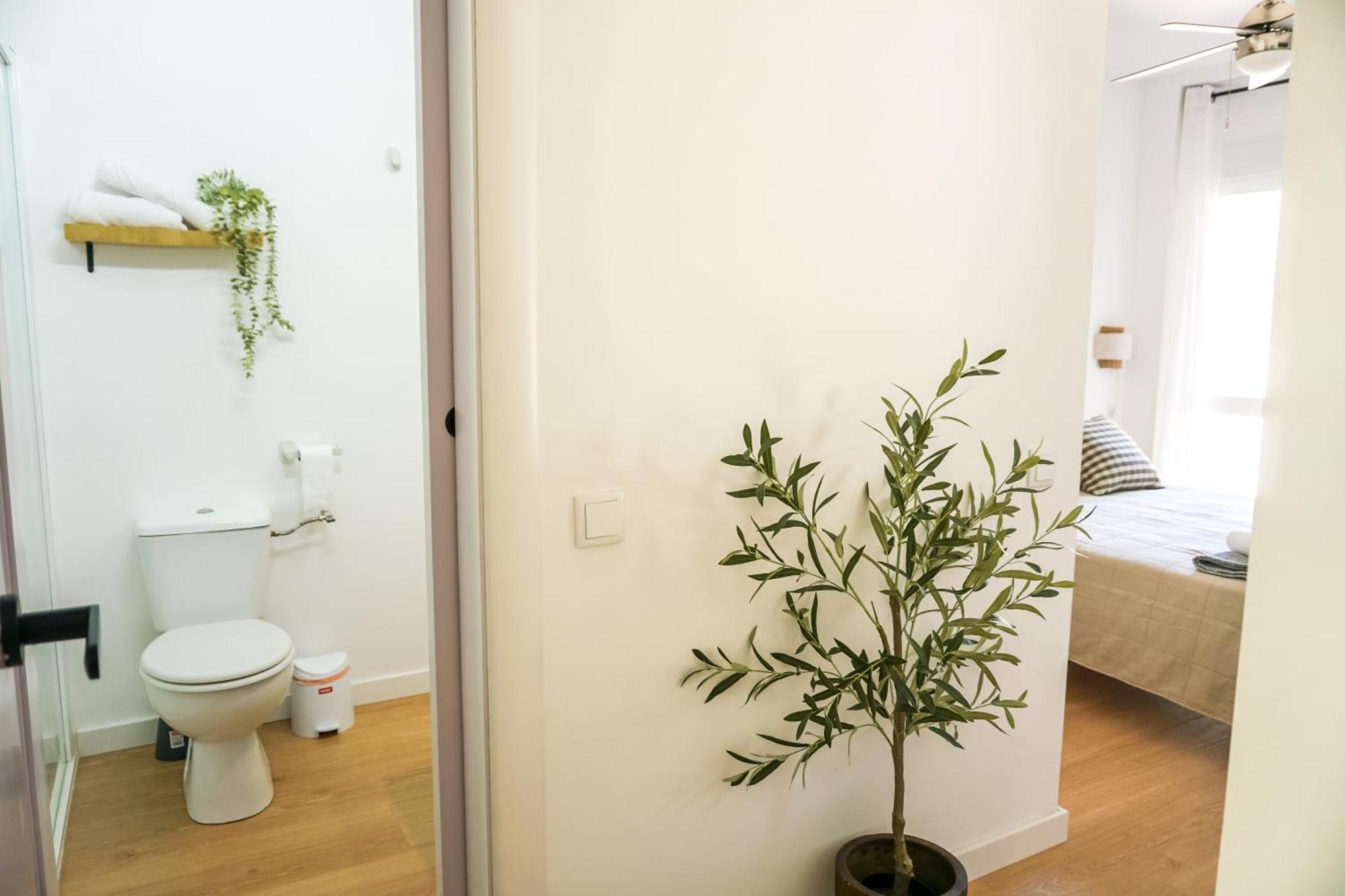 El Olivo Apartment