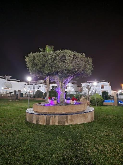 Punta Prima Flat With Private Roof Terrace *