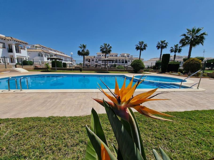 Punta Prima Flat With Private Roof Terrace Apartamento *
