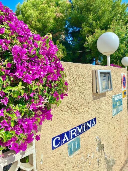 Apto Al Lado De La Playa, 1 Dormitorio, Parking Apartamento *