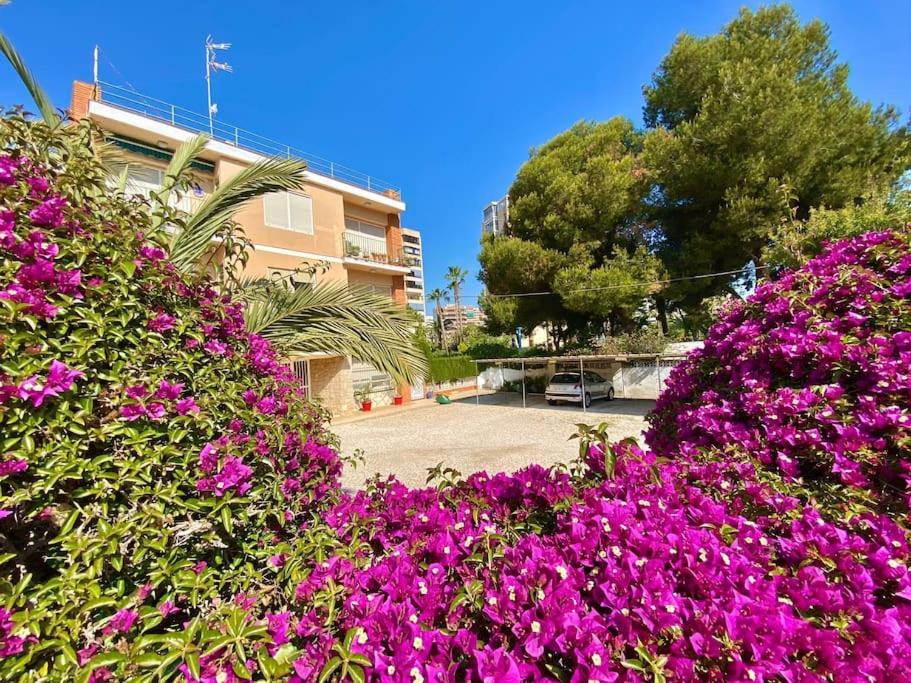 Apto Al Lado De La Playa, 1 Dormitorio, Parking