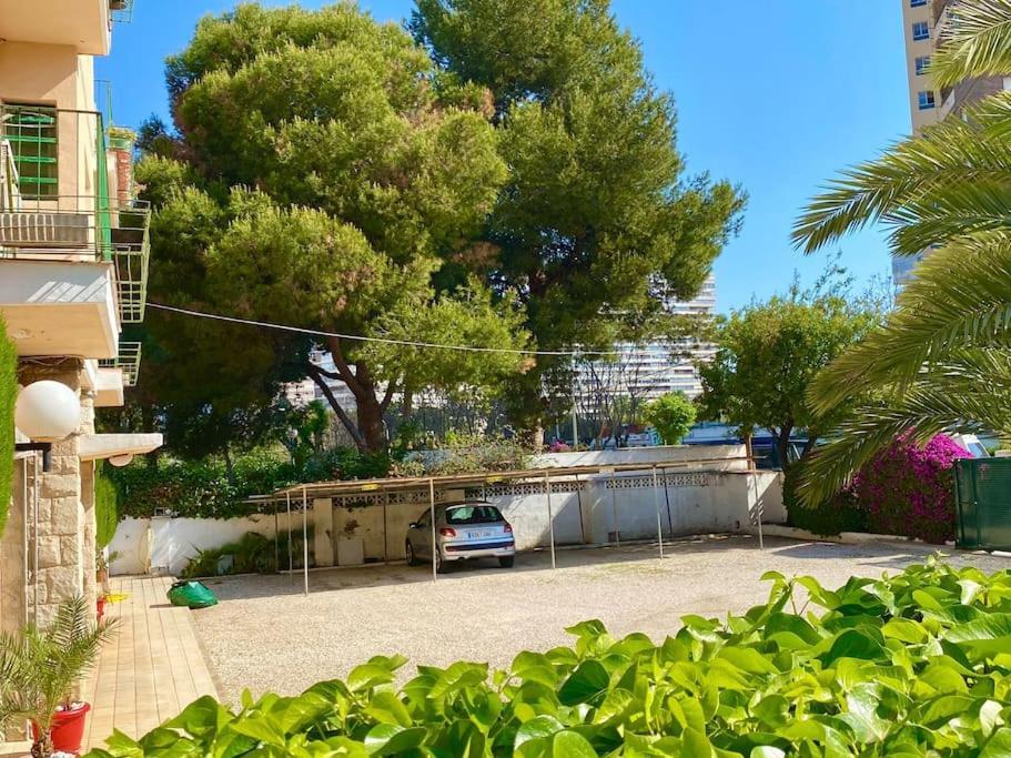 Apto Al Lado De La Playa, 1 Dormitorio, Parking Apartamento